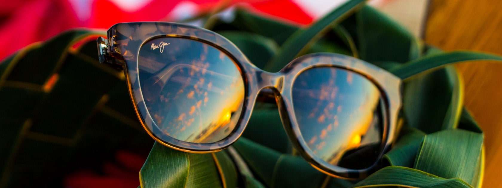 lunettes de soleil à monture écaille avec reflet de ciel dans les verres présentées sur des feuilles vertes
