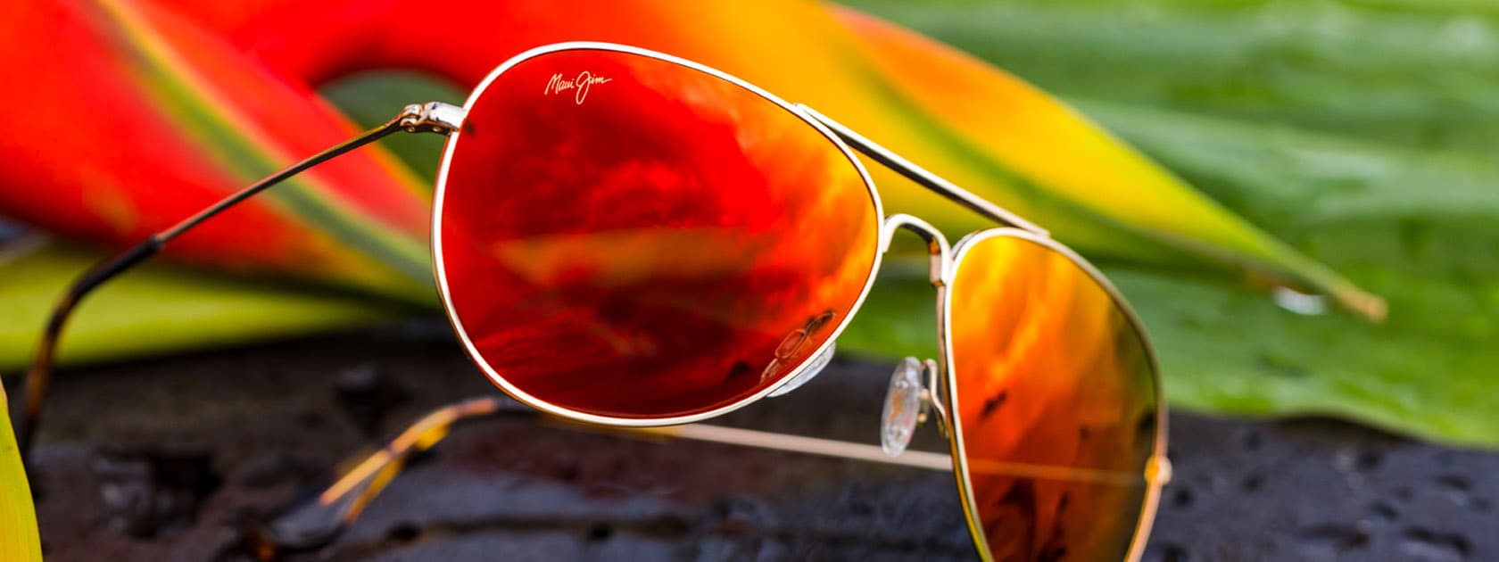 Polarized Bifocal Vision Reader Reading Glasses Sunglasses Smoke or Amber  Lens
